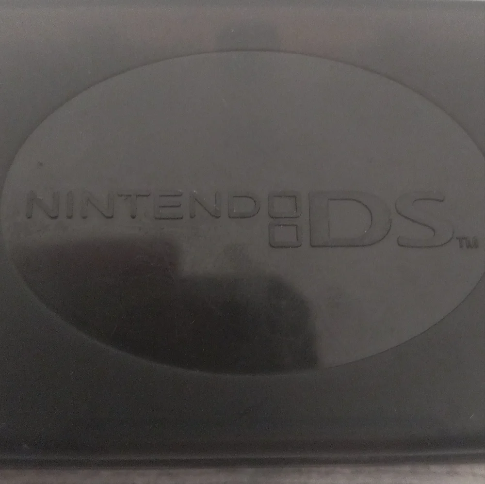 Nintendo DS Cartridge Case